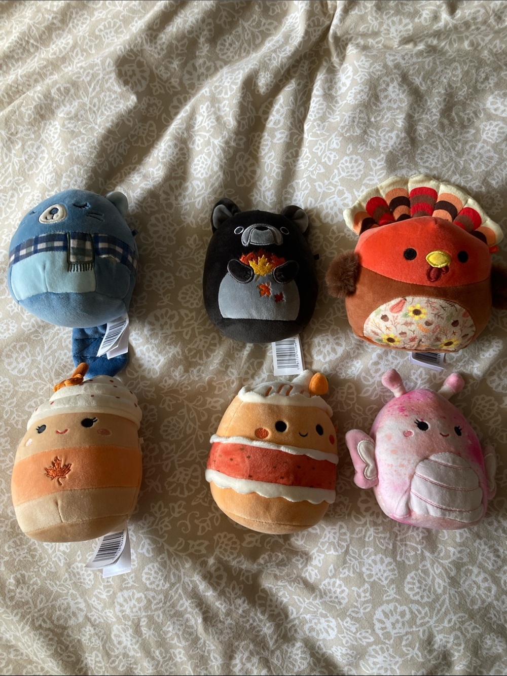 Squishmallows Plush Mini Pack — Blue, Black, Orange, Brown, Cream, Pink